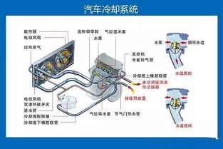 冷却系统维护