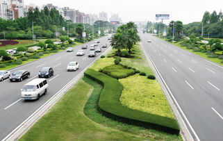 城市道路问题向谁投