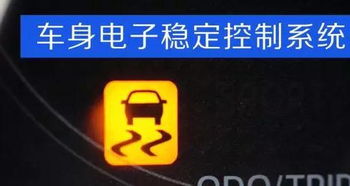 车辆稳定控制指示灯