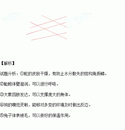 环境适应性从哪里而来